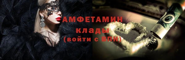 гашик Новодвинск