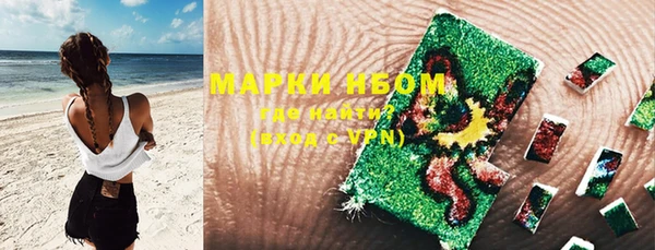 apvp Новозыбков