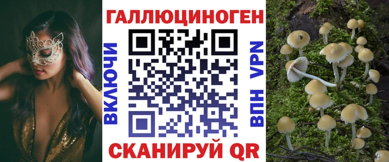 наркота  Оханск  Псилоцибиновые грибы Cubensis 